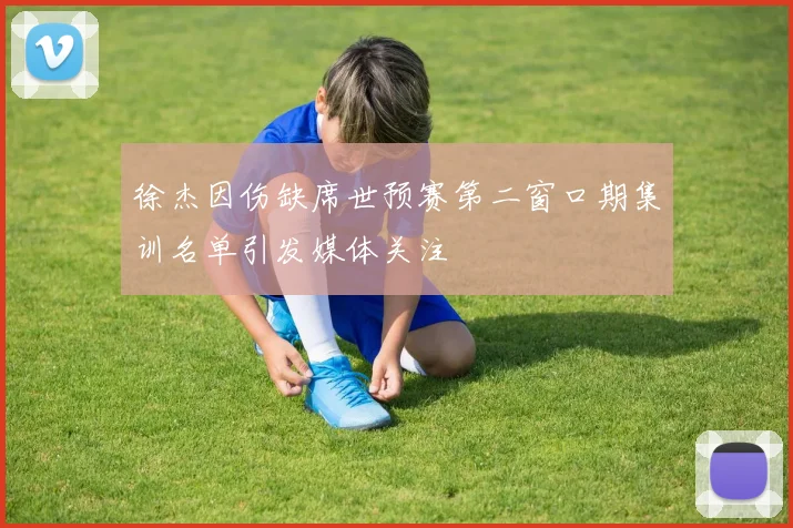 徐杰因伤缺席世预赛第二窗口期集训名单引发媒体关注