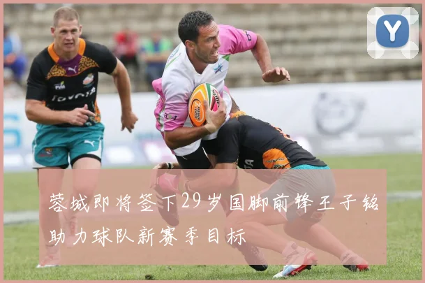 蓉城即将签下29岁国脚前锋王子铭助力球队新赛季目标