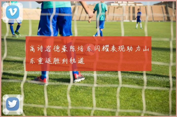 高诗岩德豪陈培东闪耀表现助力山东重返胜利轨道